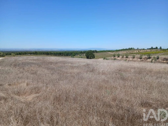 Terreno para Venda em Alpiarça Foto 4