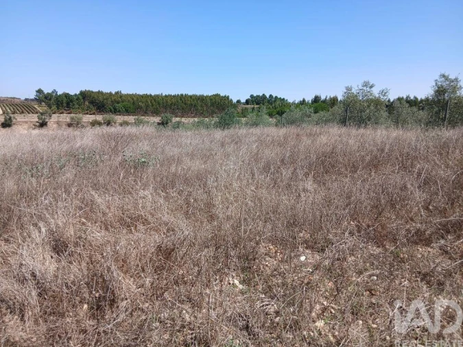 Terreno para Venda em Alpiarça Foto 2