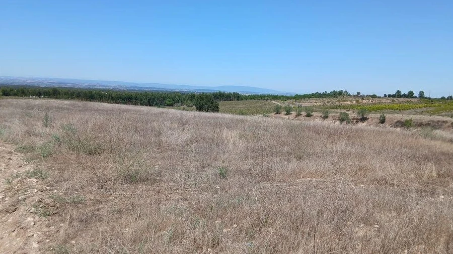 Terreno para Venda em Alpiarça
