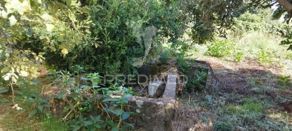 Moradia T3 para Venda em São Salvador da Aramenha