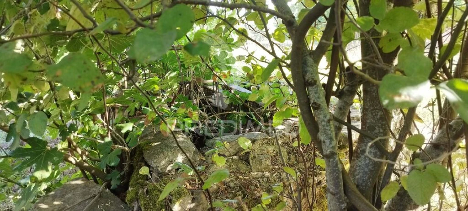 Moradia T3 para Venda em São Salvador da Aramenha Foto 11