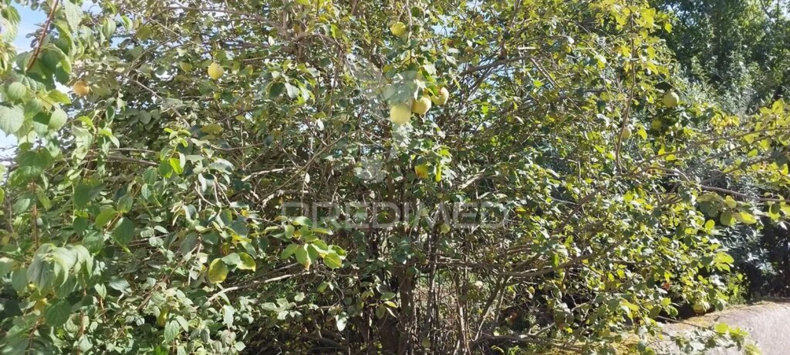 Moradia T3 para Venda em São Salvador da Aramenha Foto 4