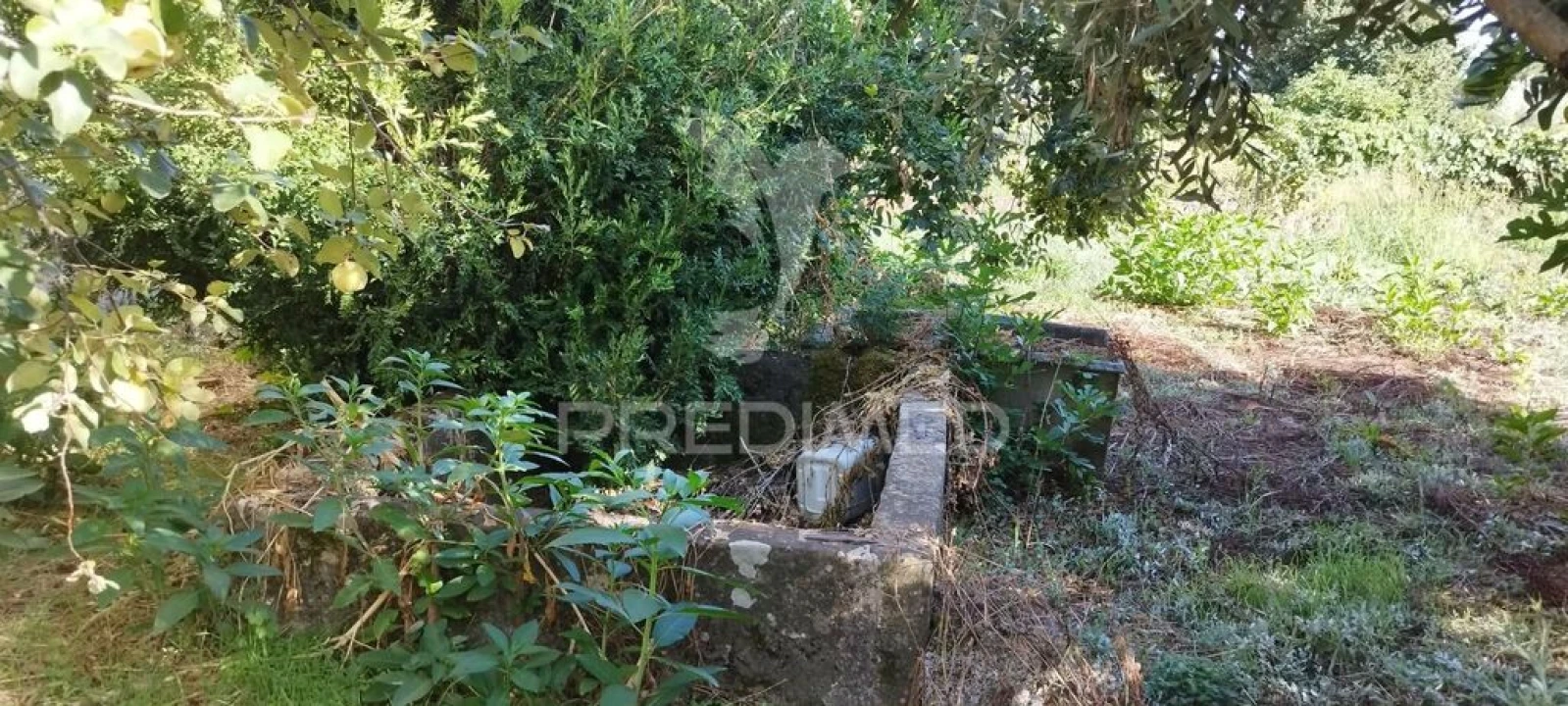 Moradia T3 para Venda em São Salvador da Aramenha Foto 17