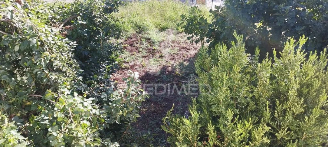 Moradia T3 para Venda em São Salvador da Aramenha Foto 7