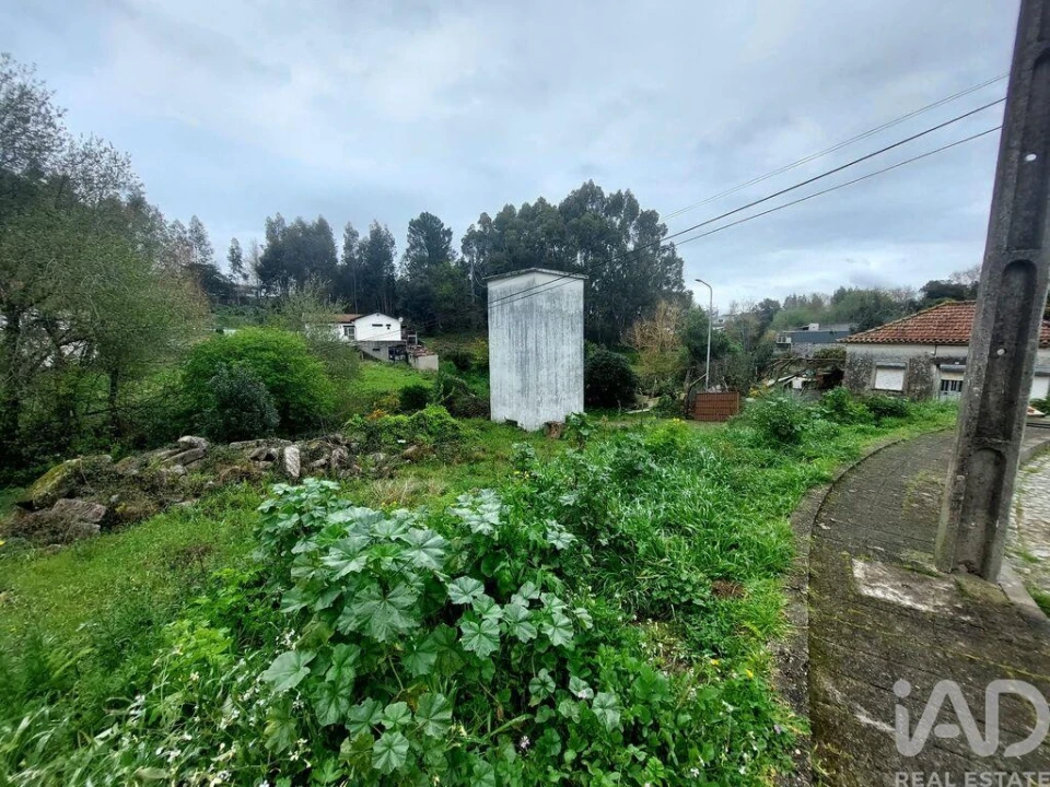 Terreno para Venda em Milheiros Foto 3