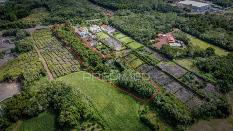 Terreno para Venda em Madalena