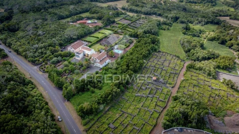 Terreno para Venda em Madalena
