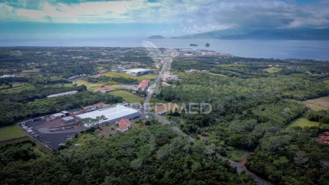 Terreno para Venda em Madalena
