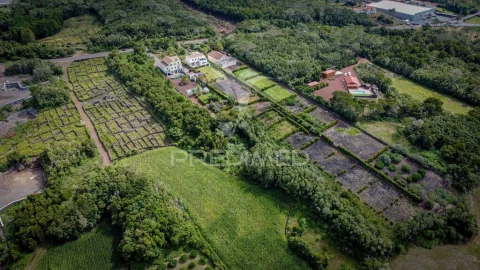 Terreno para Venda em Madalena