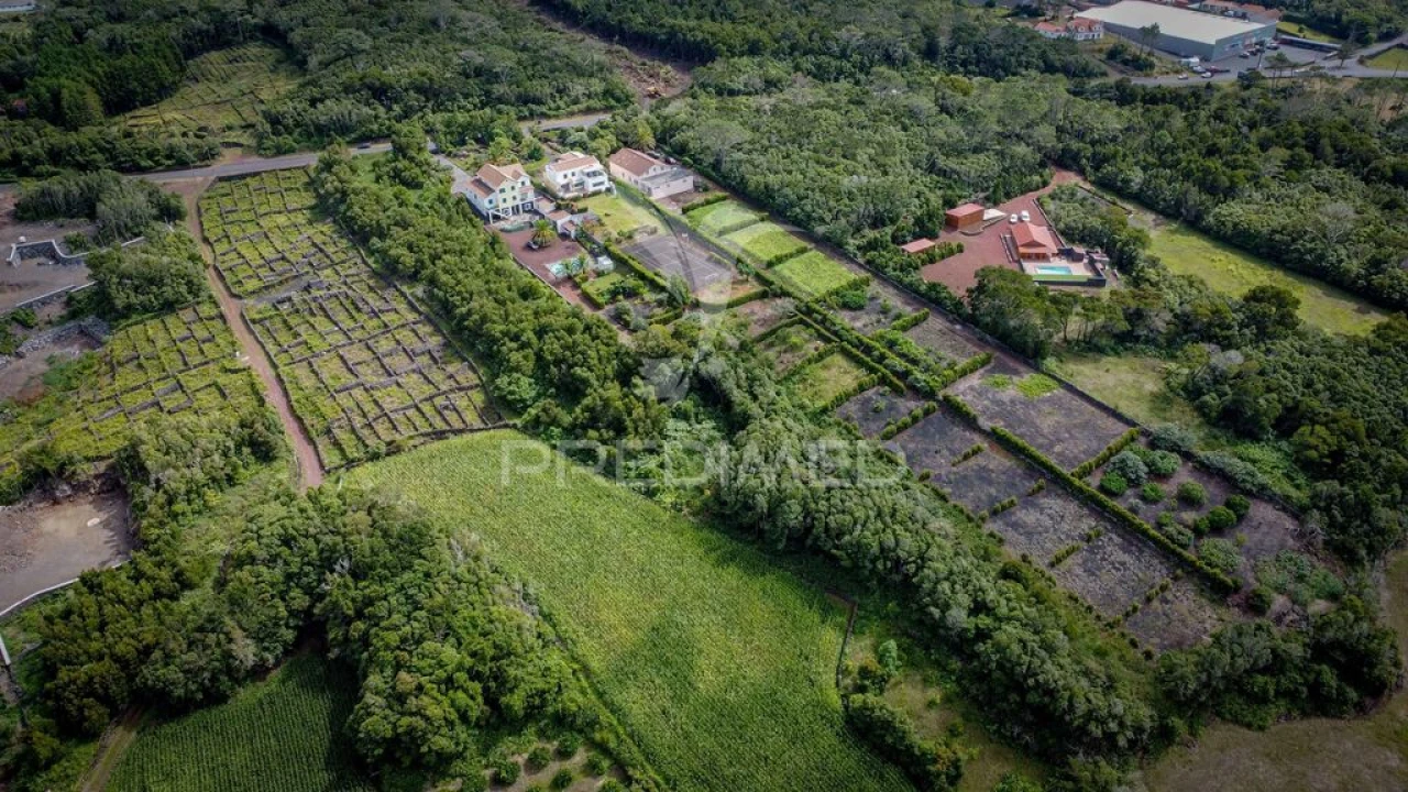 Terreno para Venda em Madalena Foto 11