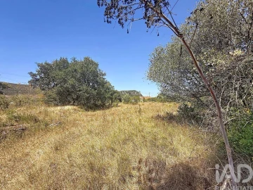 Terreno para Venda em Porto de Mós - São João Baptista e São Pedro