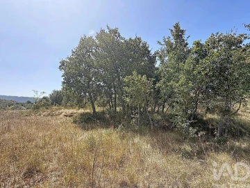 Terreno para Venda em Porto de Mós - São João Baptista e São Pedro