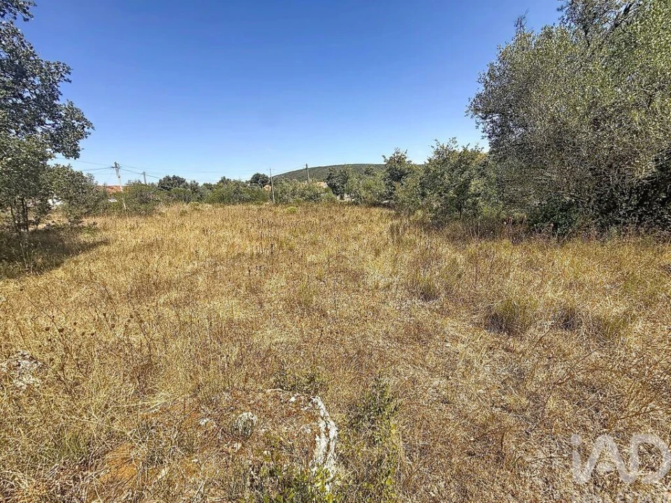 Terreno para Venda em Porto de Mós - São João Baptista e São Pedro Foto 6