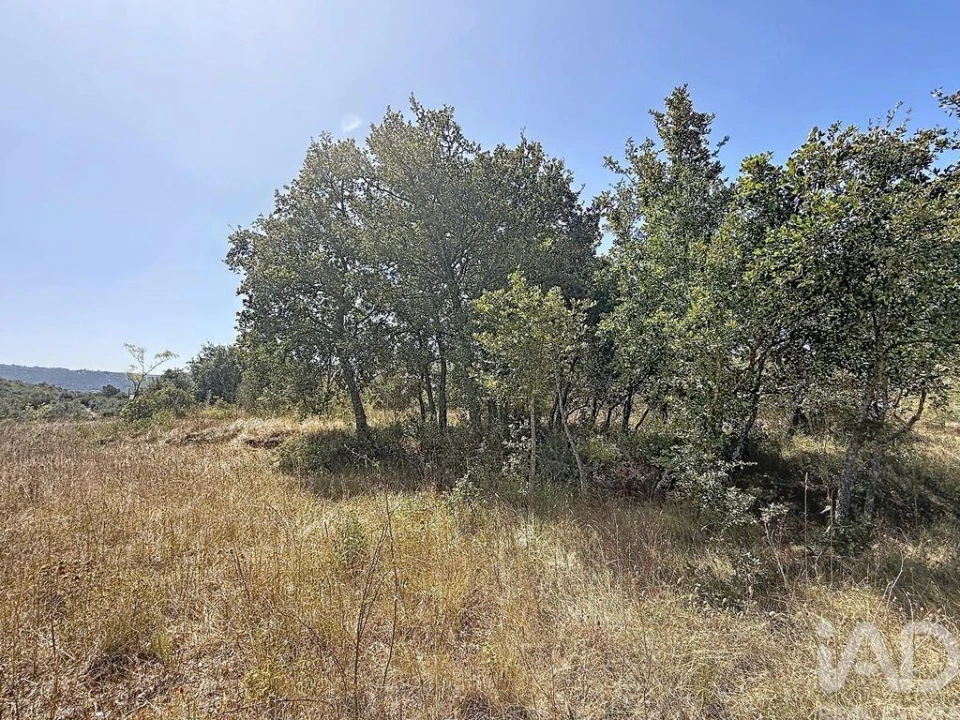 Terreno para Venda em Porto de Mós - São João Baptista e São Pedro Foto 15