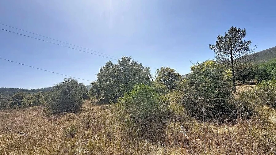 Terreno para Venda em Porto de Mós - São João Baptista e São Pedro