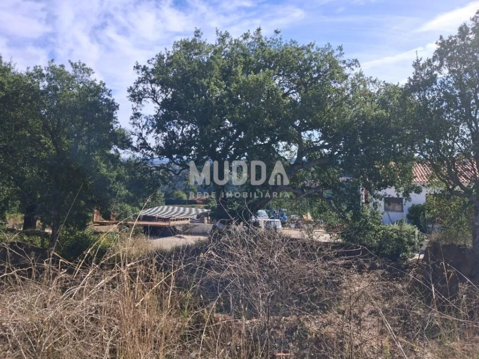 Terreno para Venda em A dos Negros Foto 3