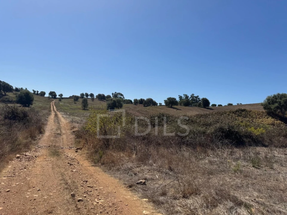 Terreno para Venda em Cercal Foto 15