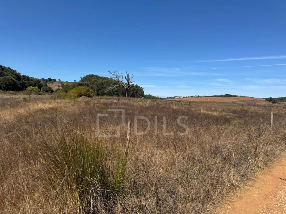 Terreno para Venda em Cercal Foto 16