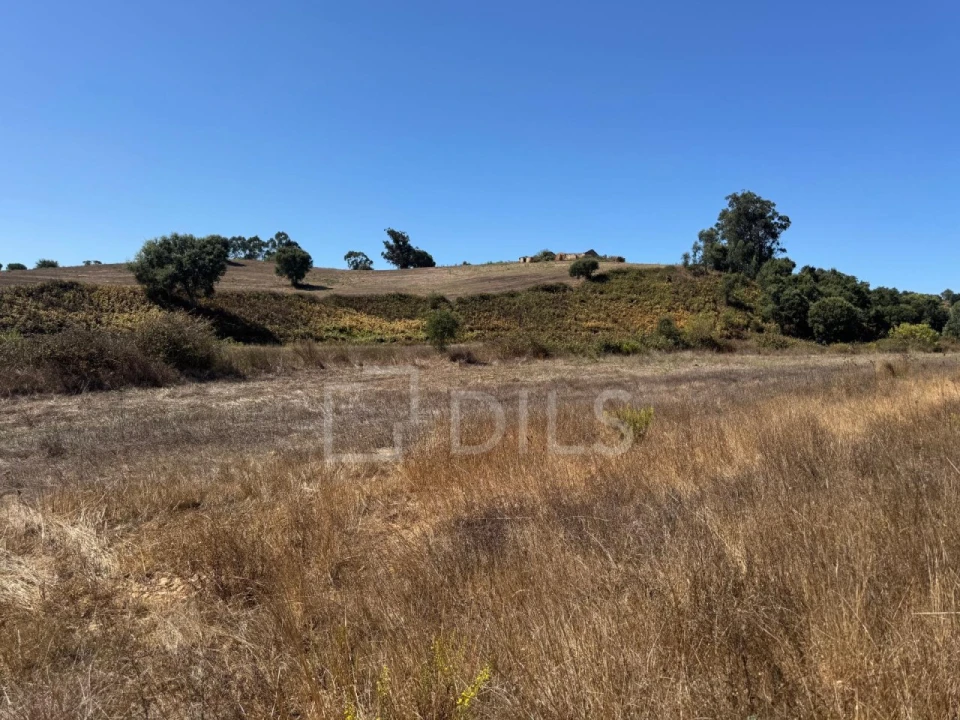 Terreno para Venda em Cercal Foto 17