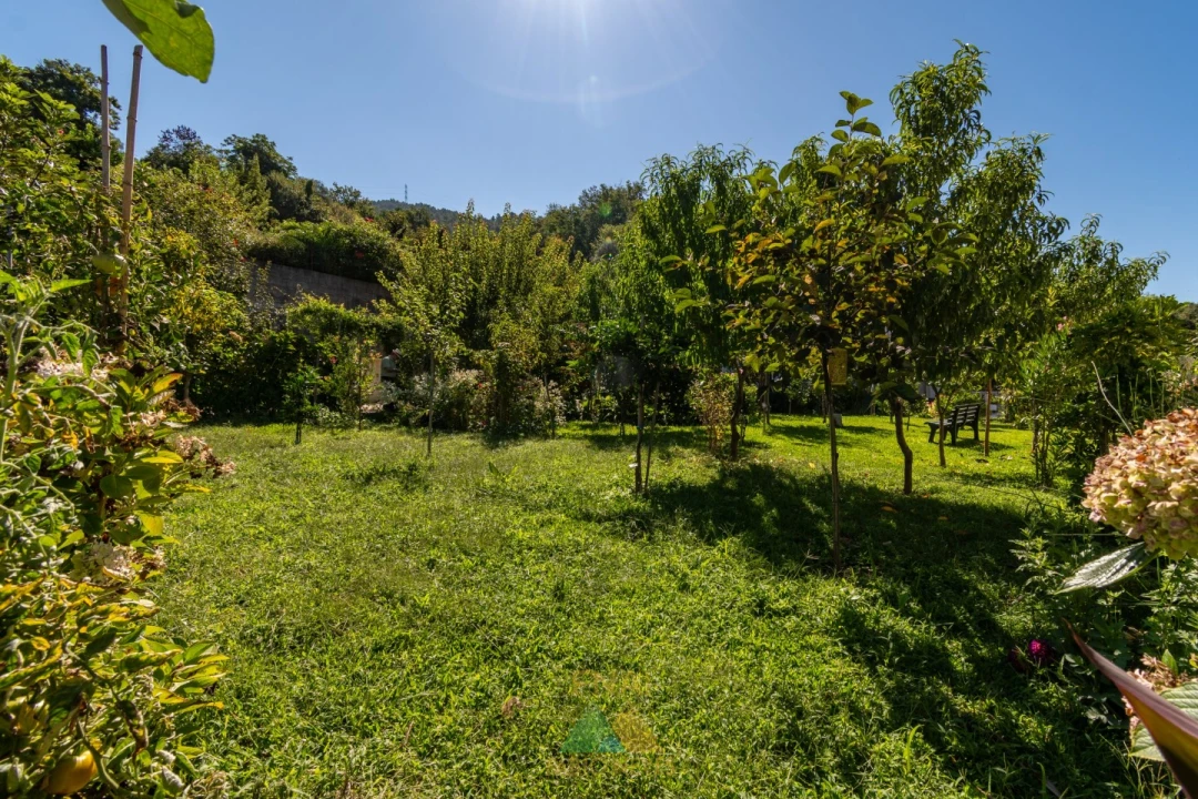 Moradia T4 para Venda em Vade (São Pedro) Foto 27