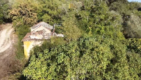 Quinta T4 para Venda em Abitureiras