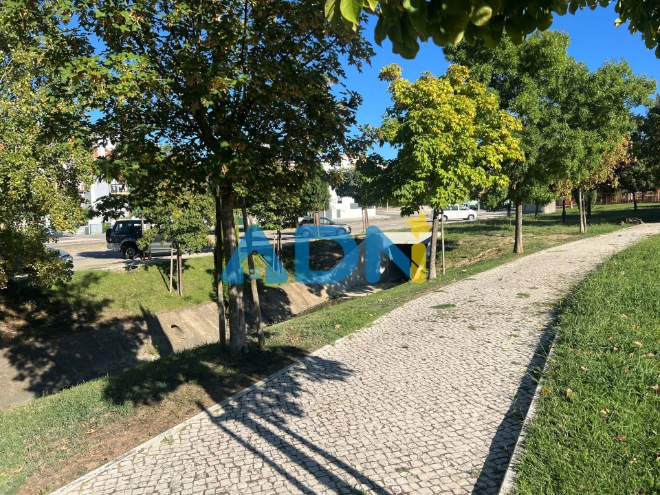Terreno para Venda em Castelo Branco Foto 16