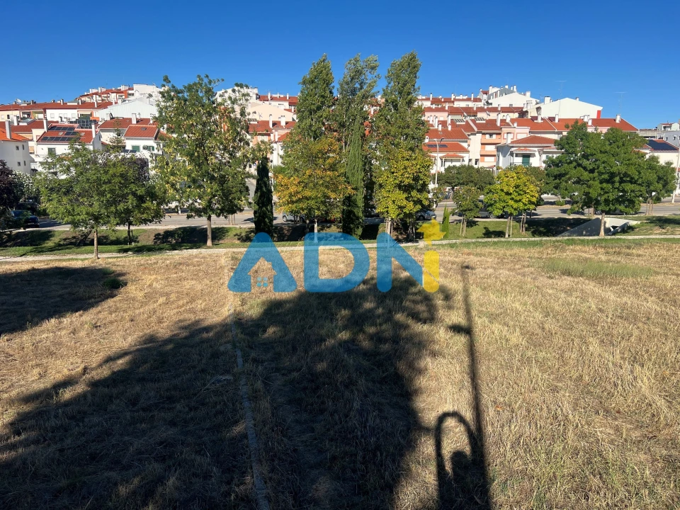 Terreno para Venda em Castelo Branco Foto 14