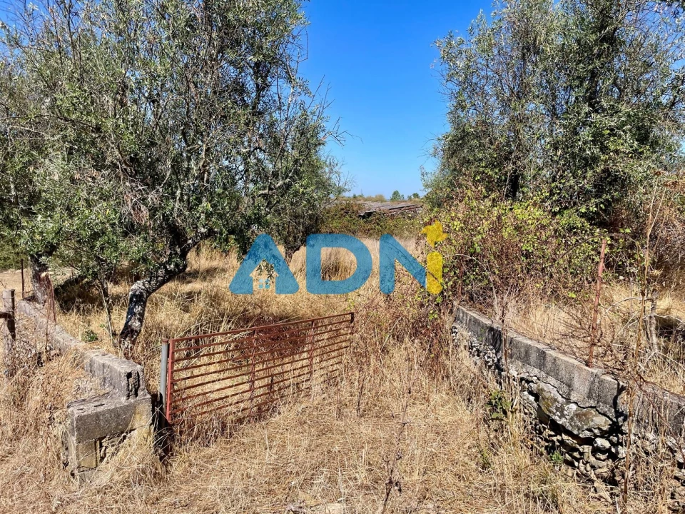 Quinta para Venda em Cebolais de Cima e Retaxo Foto 32