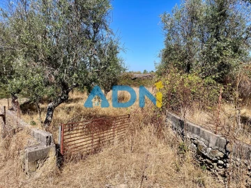 Quinta para Venda em Cebolais de Cima e Retaxo