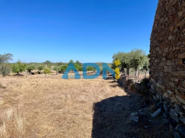 Quinta para Venda em Cebolais de Cima e Retaxo
