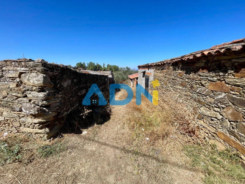 Quinta para Venda em Cebolais de Cima e Retaxo Foto 5