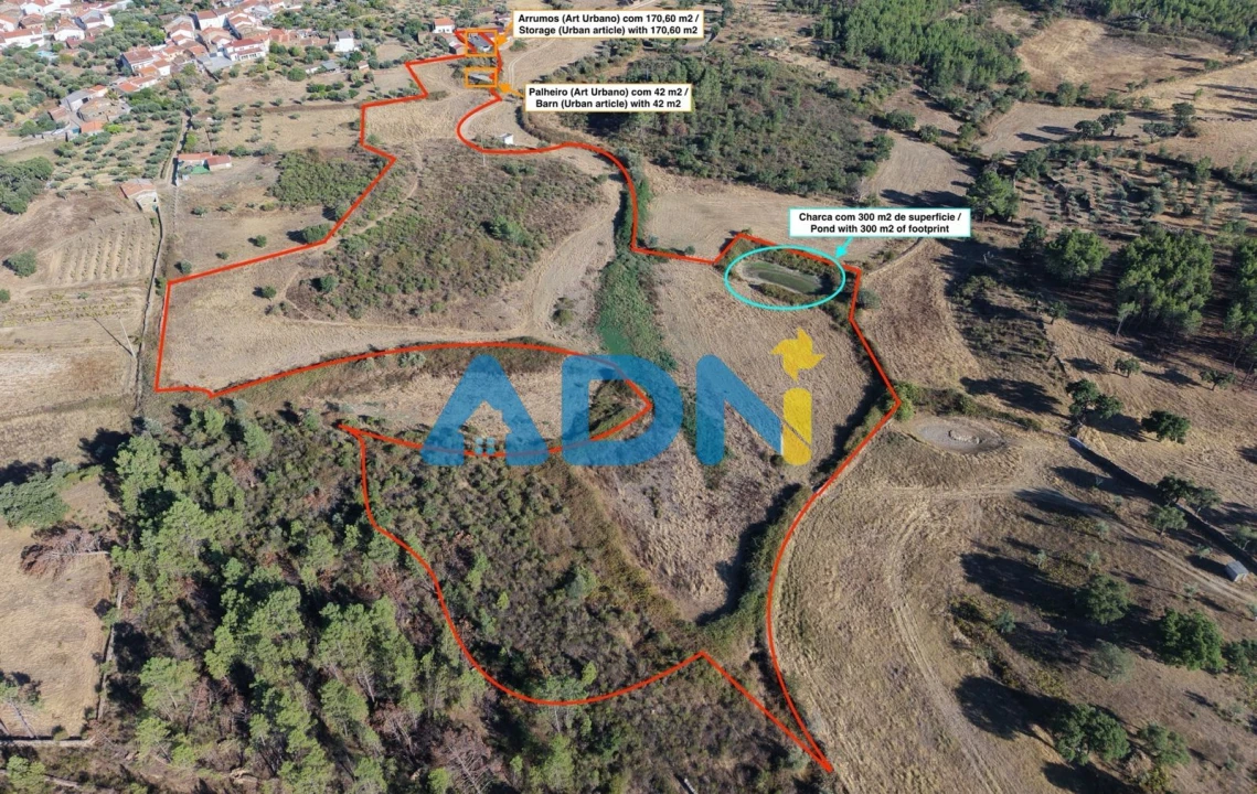 Quinta para Venda em Cebolais de Cima e Retaxo Foto 3