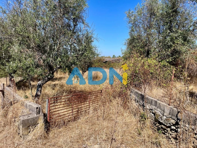 Quinta para Venda em Cebolais de Cima e Retaxo Foto 32