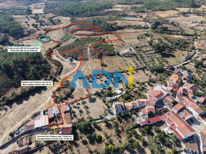 Quinta para Venda em Cebolais de Cima e Retaxo Foto 2