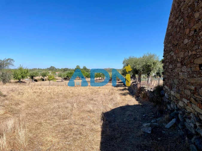 Quinta para Venda em Cebolais de Cima e Retaxo Foto 23