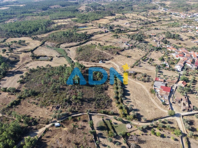 Quinta para Venda em Cebolais de Cima e Retaxo Foto 34