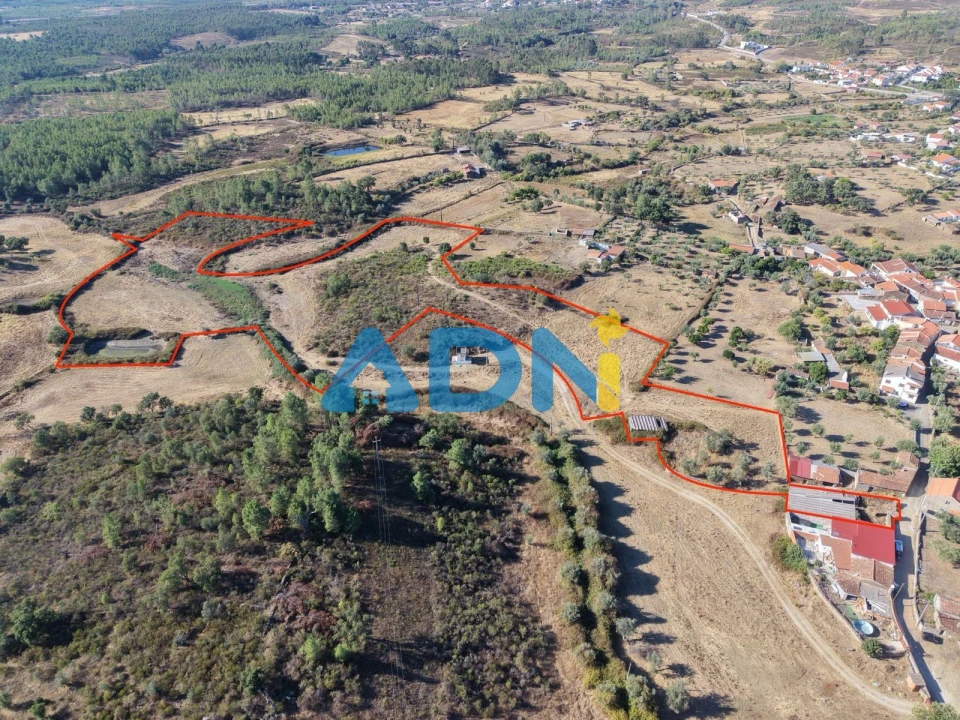 Quinta para Venda em Cebolais de Cima e Retaxo Foto 1