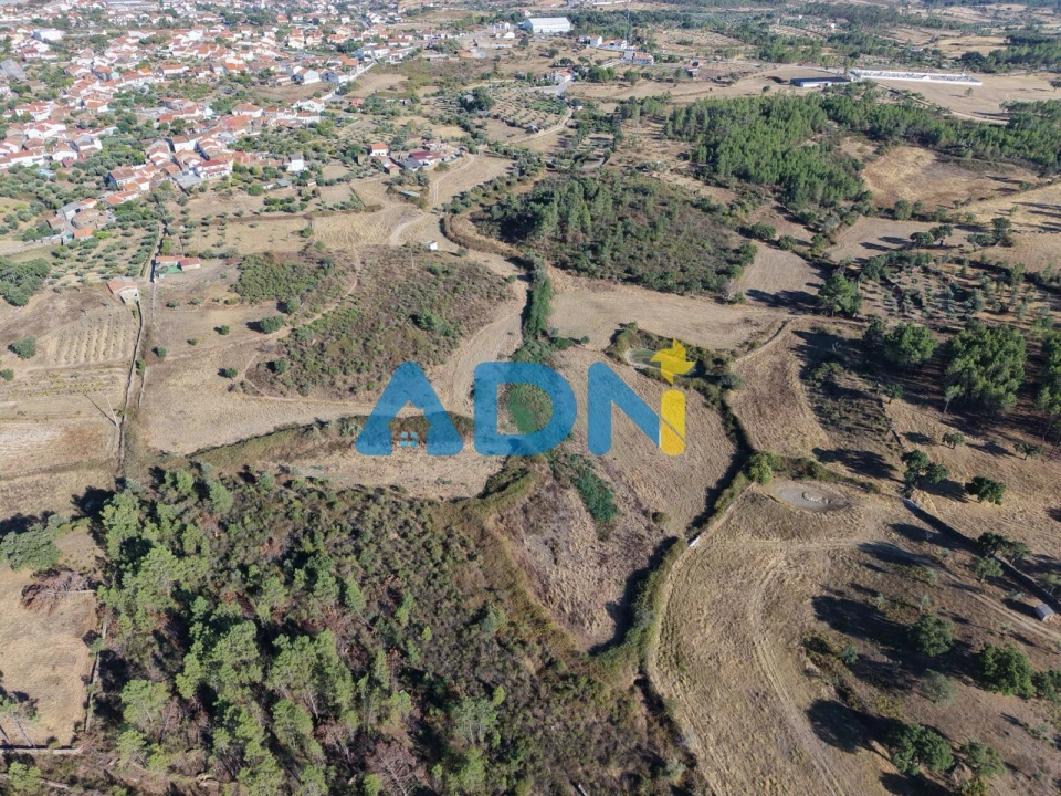 Quinta para Venda em Cebolais de Cima e Retaxo Foto 29