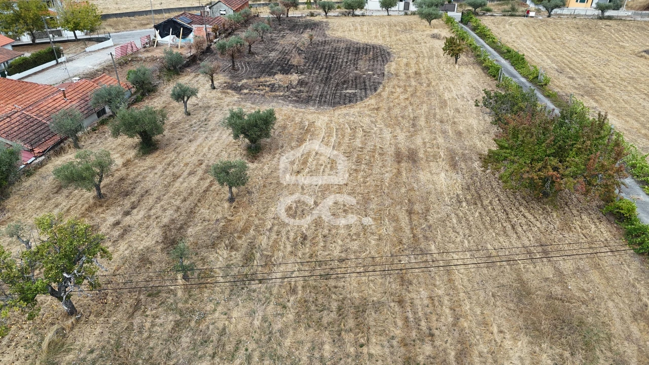 Terreno para Venda em Vilar de Nantes Foto 4
