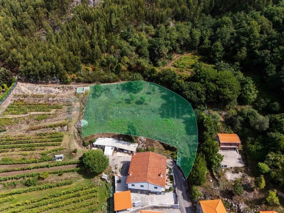 Terreno Agricola ou Rústico para Venda em Caldas de Vizela (São Miguel e São João) Foto 1