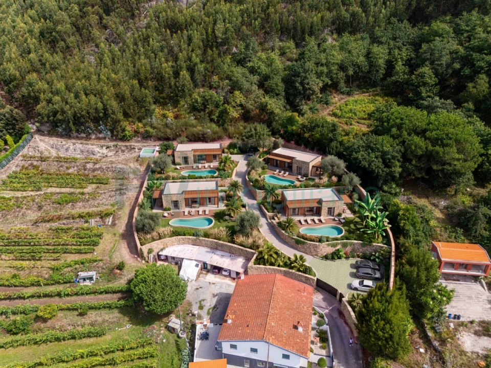 Terreno Agricola ou Rústico para Venda em Caldas de Vizela (São Miguel e São João) Foto 2