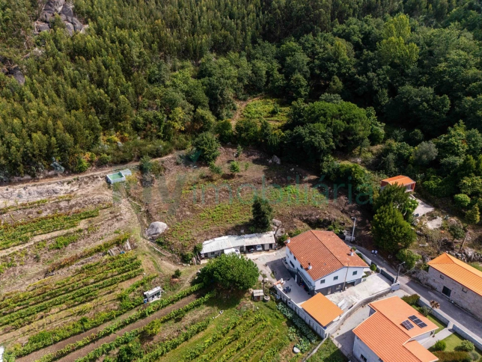 Terreno Agricola ou Rústico para Venda em Caldas de Vizela (São Miguel e São João) Foto 7