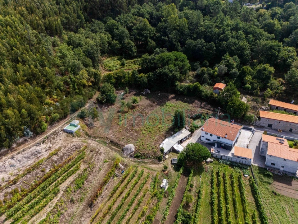 Terreno Agricola ou Rústico para Venda em Caldas de Vizela (São Miguel e São João) Foto 8