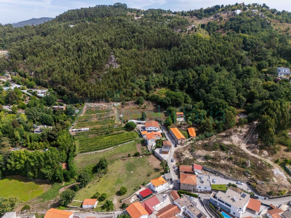 Terreno Agricola ou Rústico para Venda em Caldas de Vizela (São Miguel e São João) Foto 9