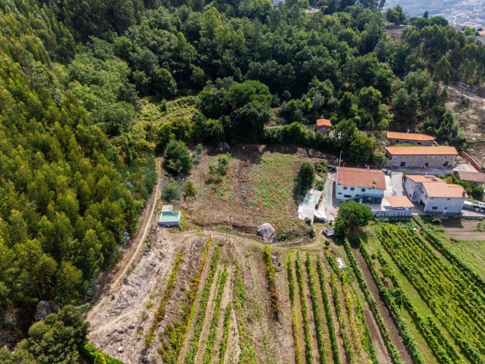 Terreno Agricola ou Rústico para Venda em Caldas de Vizela (São Miguel e São João) Foto 10