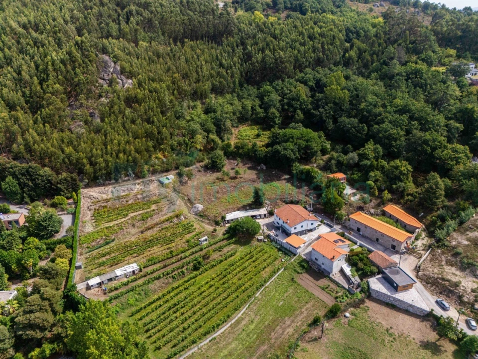 Terreno Agricola ou Rústico para Venda em Caldas de Vizela (São Miguel e São João) Foto 11
