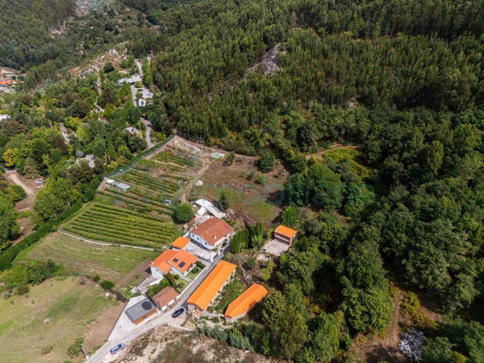 Terreno Agricola ou Rústico para Venda em Caldas de Vizela (São Miguel e São João) Foto 13