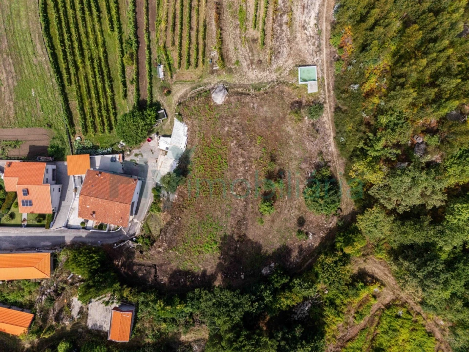 Terreno Agricola ou Rústico para Venda em Caldas de Vizela (São Miguel e São João) Foto 14