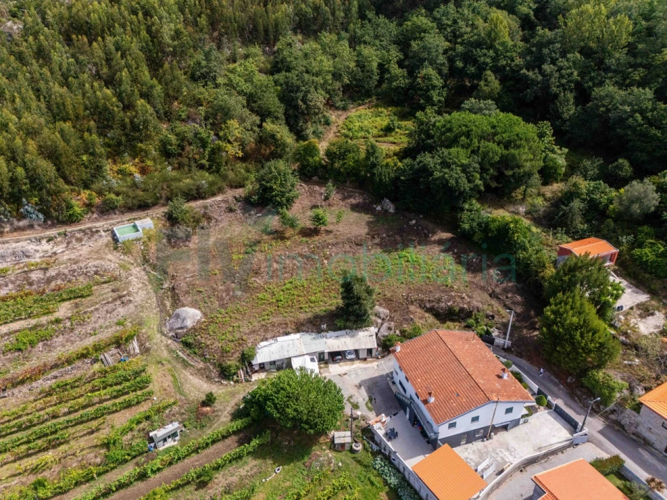 Terreno Agricola ou Rústico para Venda em Caldas de Vizela (São Miguel e São João) Foto 16