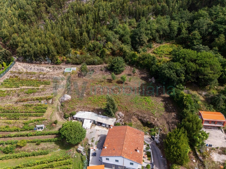 Terreno Agricola ou Rústico para Venda em Caldas de Vizela (São Miguel e São João) Foto 17